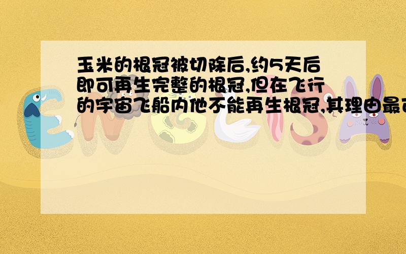 玉米的根冠被切除后,约5天后即可再生完整的根冠,但在飞行的宇宙飞船内他不能再生根冠,其理由最可能是（）