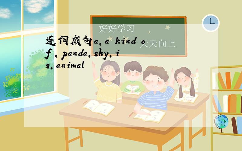 连词成句a,a kind of ,panda,shy,is,animal