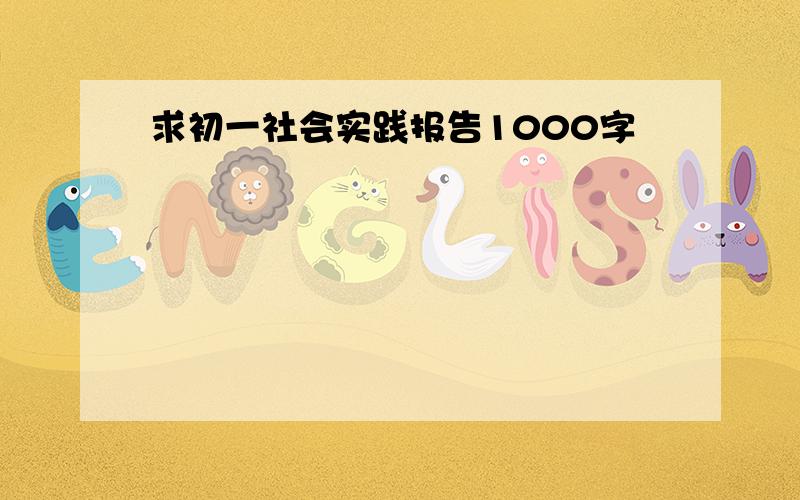 求初一社会实践报告1000字