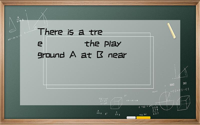 There is a tree____ the playground A at B near