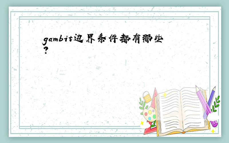 gambit边界条件都有那些?