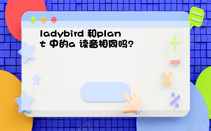 ladybird 和plant 中的a 读音相同吗?