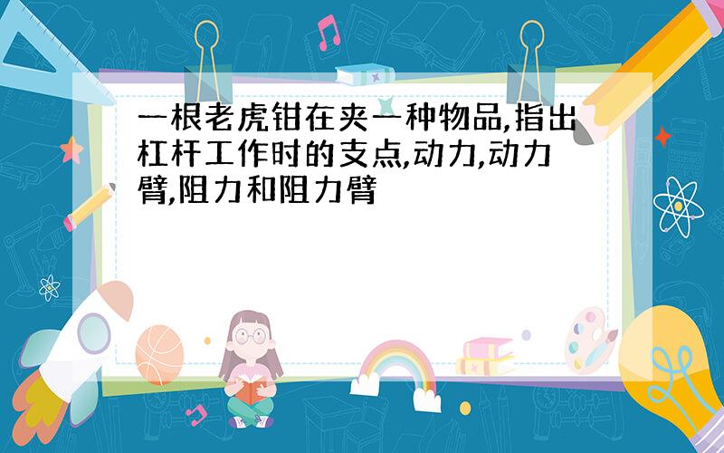 一根老虎钳在夹一种物品,指出杠杆工作时的支点,动力,动力臂,阻力和阻力臂