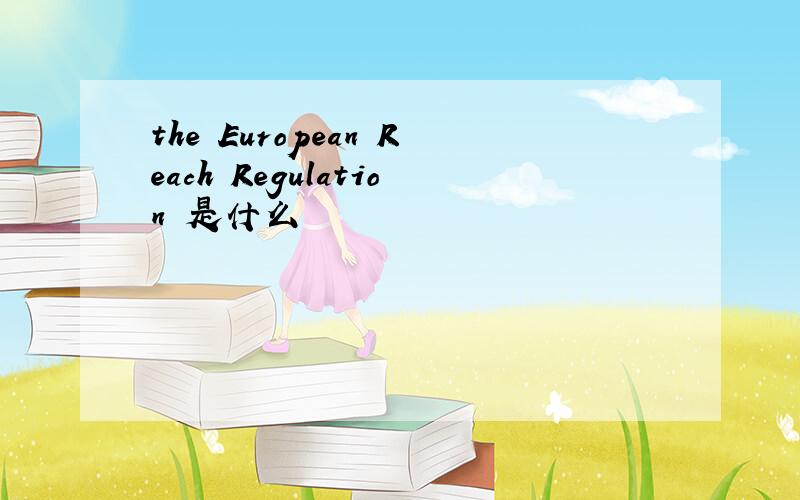 the European Reach Regulation 是什么