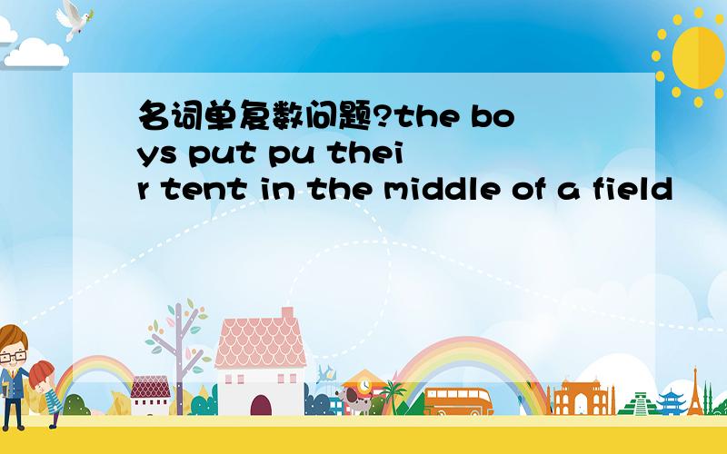 名词单复数问题?the boys put pu their tent in the middle of a field