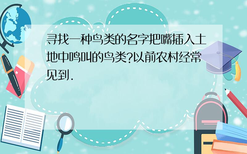 寻找一种鸟类的名字把嘴插入土地中鸣叫的鸟类?以前农村经常见到.