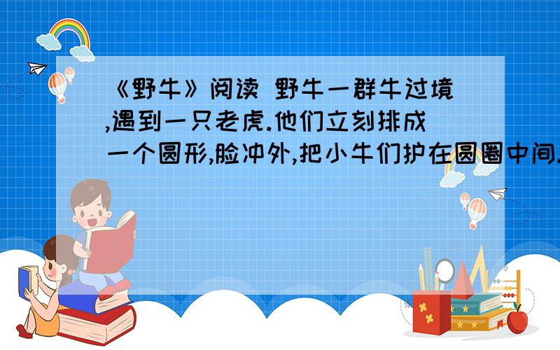 《野牛》阅读 野牛一群牛过境,遇到一只老虎.他们立刻排成一个圆形,脸冲外,把小牛们护在圆圈中间.它们看见有一头牛带着两头