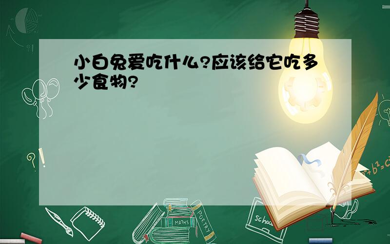 小白兔爱吃什么?应该给它吃多少食物?