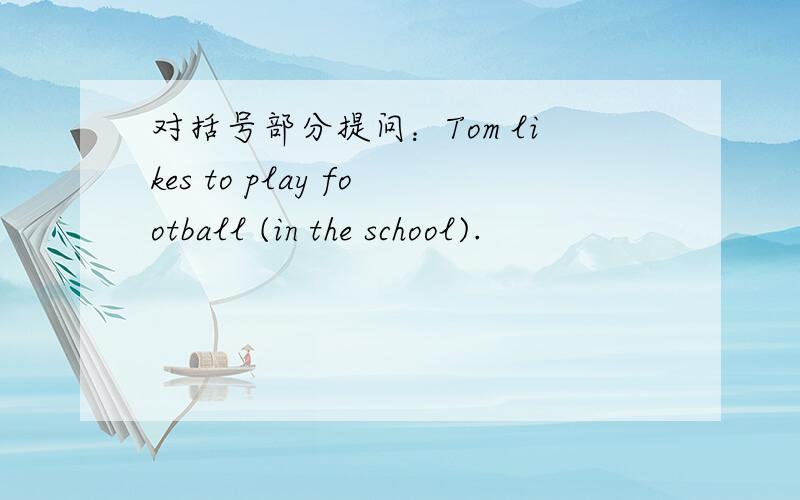 对括号部分提问：Tom likes to play football (in the school).