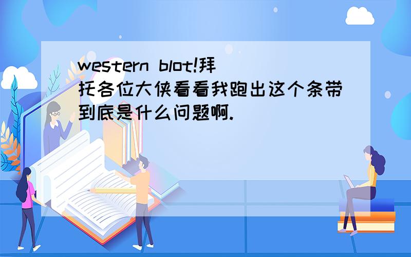 western blot!拜托各位大侠看看我跑出这个条带到底是什么问题啊.