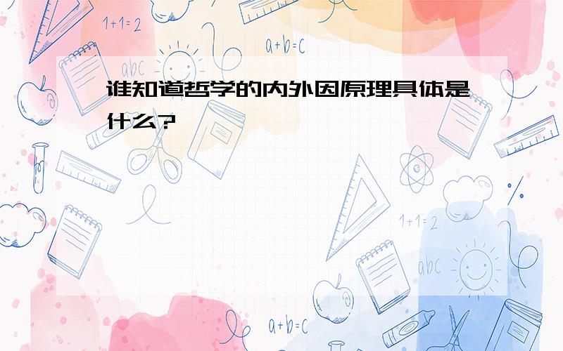 谁知道哲学的内外因原理具体是什么?