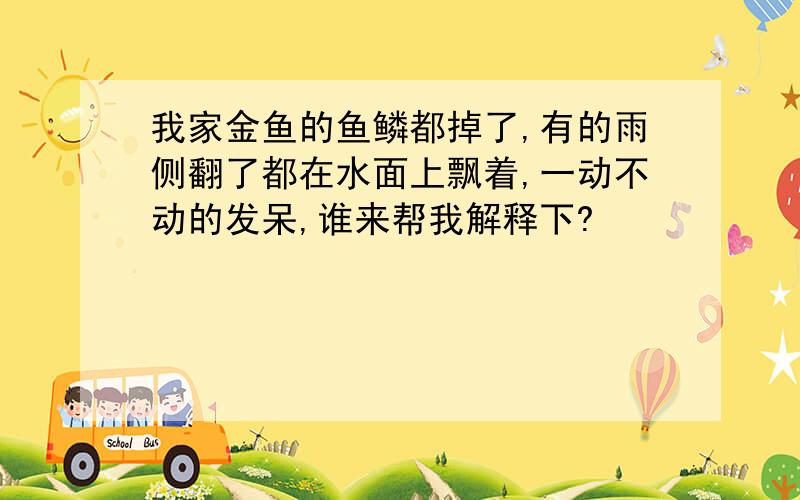 我家金鱼的鱼鳞都掉了,有的雨侧翻了都在水面上飘着,一动不动的发呆,谁来帮我解释下?