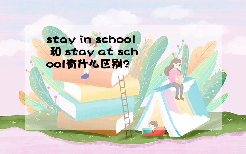 stay in school 和 stay at school有什么区别?