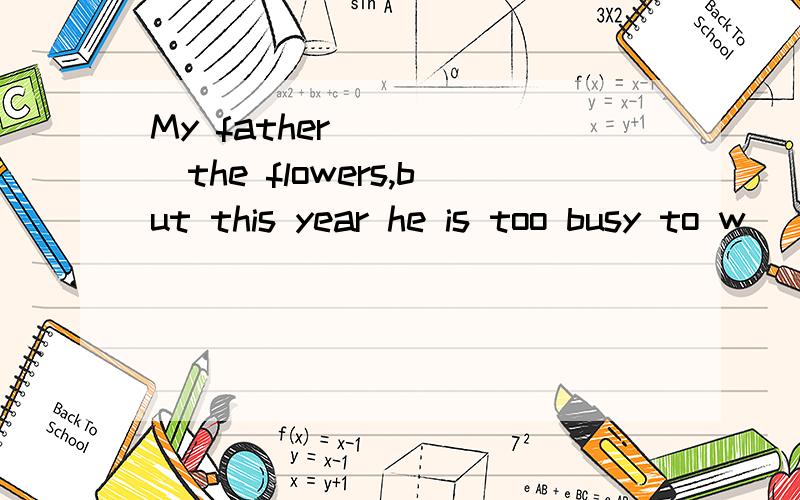 My father______the flowers,but this year he is too busy to w