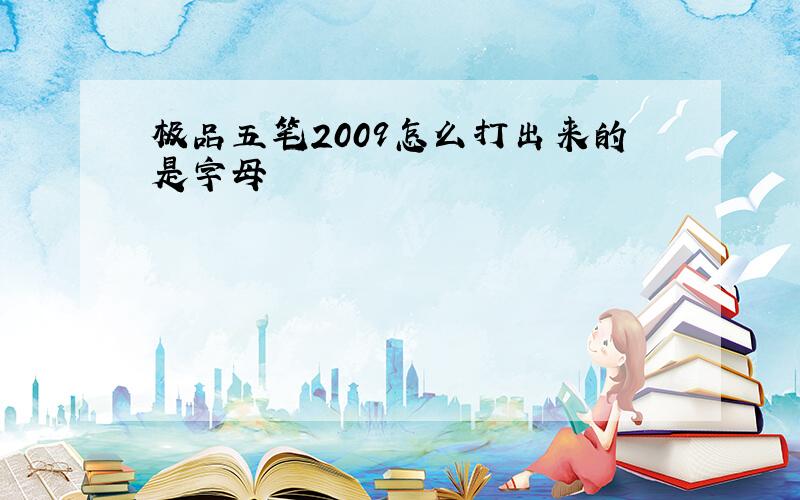 极品五笔2009怎么打出来的是字母