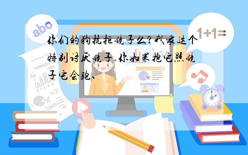 你们的狗抗拒镜子么?我家这个特别讨厌镜子.你如果抱它照镜子它会跑、