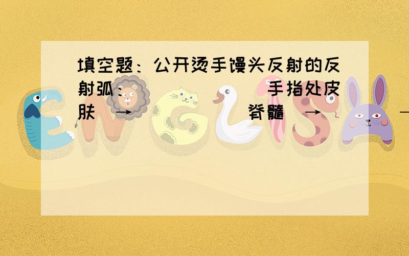 填空题：公开烫手馒头反射的反射弧：______（手指处皮肤）→_____（脊髓）→____→_____