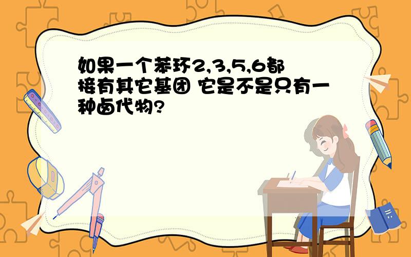 如果一个苯环2,3,5,6都接有其它基团 它是不是只有一种卤代物?