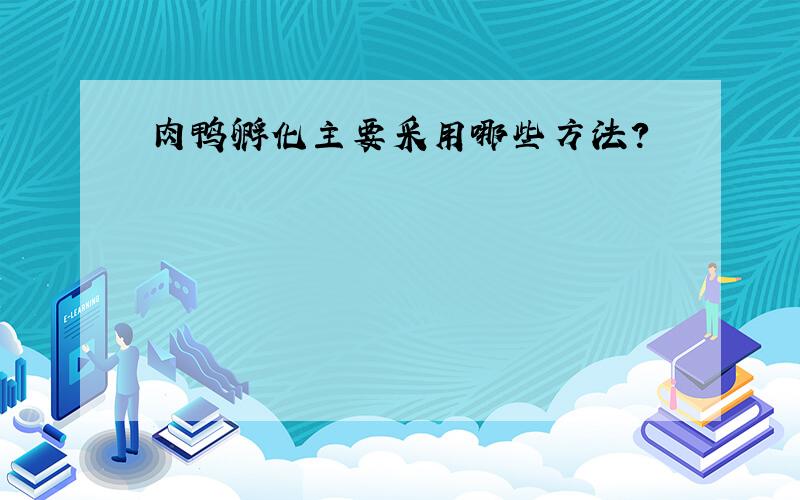 肉鸭孵化主要采用哪些方法?