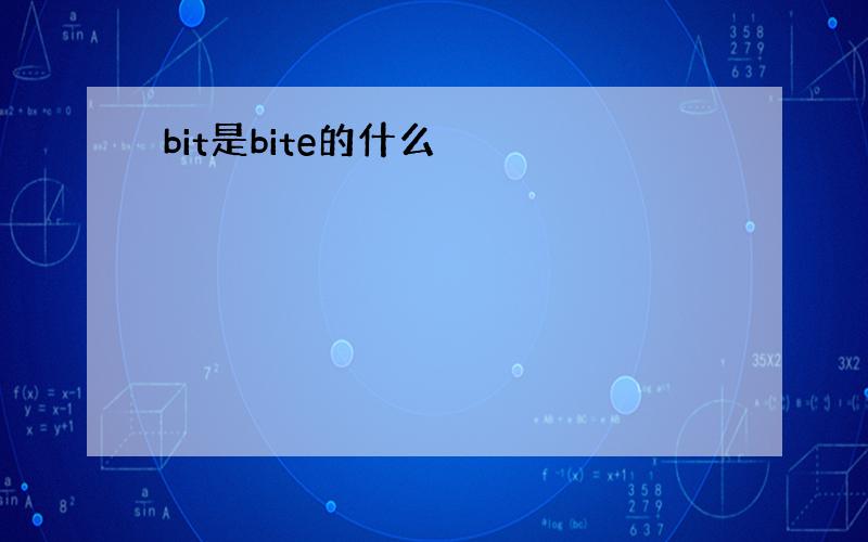 bit是bite的什么