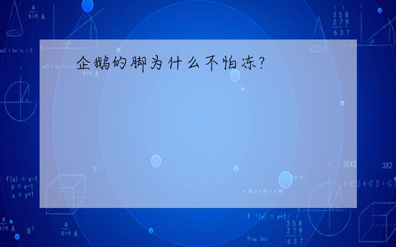 企鹅的脚为什么不怕冻?