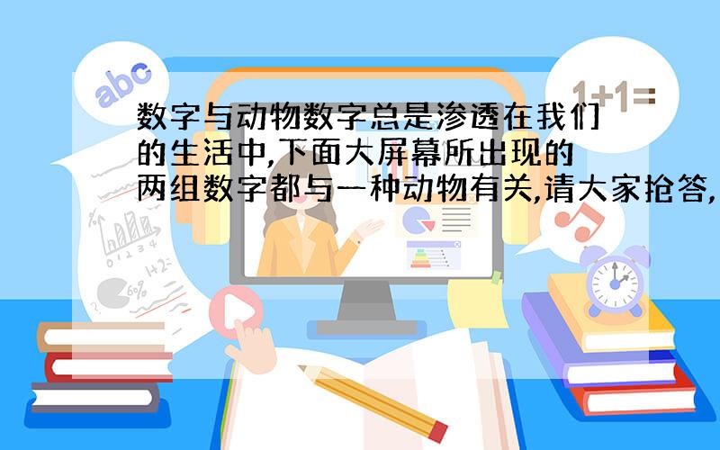 数字与动物数字总是渗透在我们的生活中,下面大屏幕所出现的两组数字都与一种动物有关,请大家抢答,这是哪种动物 5：00—7