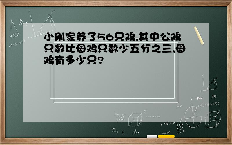 小刚家养了56只鸡,其中公鸡只数比母鸡只数少五分之三,母鸡有多少只?