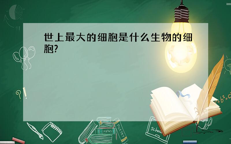 世上最大的细胞是什么生物的细胞?