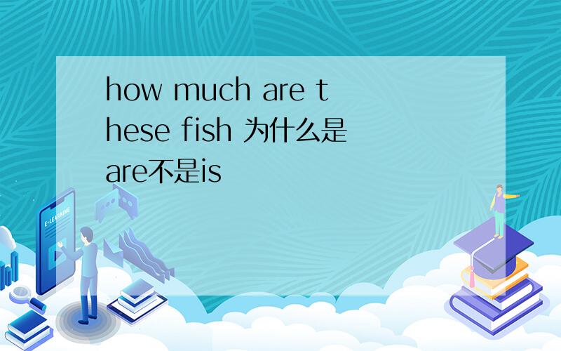 how much are these fish 为什么是are不是is