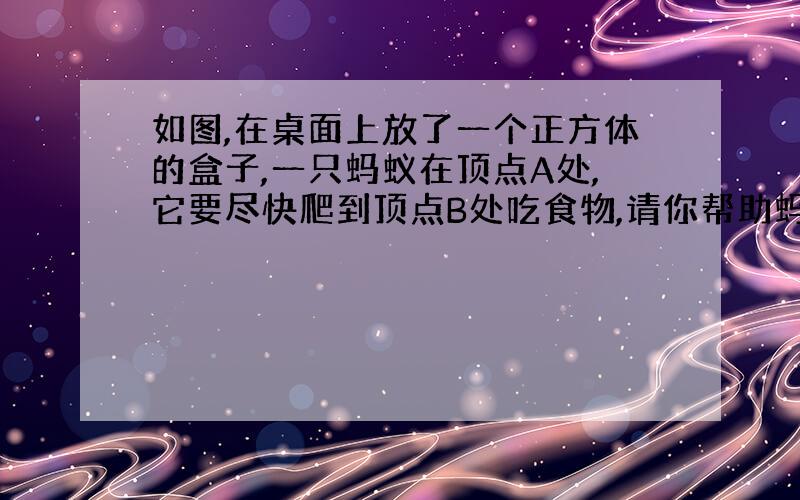 如图,在桌面上放了一个正方体的盒子,一只蚂蚁在顶点A处,它要尽快爬到顶点B处吃食物,请你帮助蚂蚁设计一条最短的爬行路线.