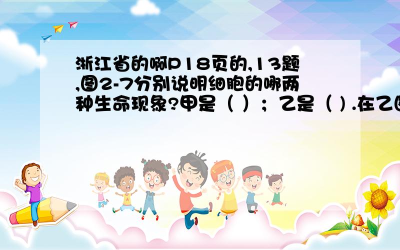 浙江省的啊P18页的,13题,图2-7分别说明细胞的哪两种生命现象?甲是（ ）；乙是（ ) .在乙图的变化过程中,细胞核