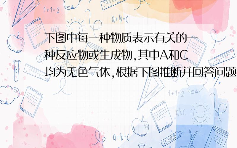 下图中每一种物质表示有关的一种反应物或生成物,其中A和C均为无色气体,根据下图推断并回答问题（帮我推出来就行啦）