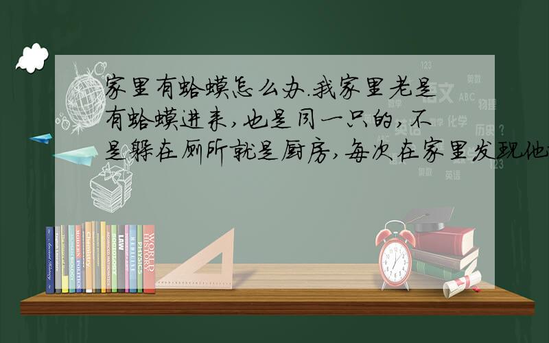 家里有蛤蟆怎么办.我家里老是有蛤蟆进来,也是同一只的,不是躲在厕所就是厨房,每次在家里发现他就将他弄进袋子里,放在草丛堆