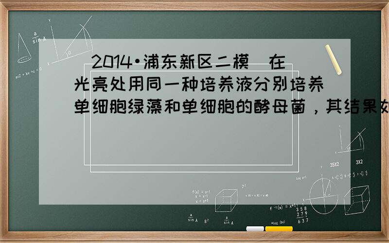 （2014•浦东新区二模）在光亮处用同一种培养液分别培养单细胞绿藻和单细胞的酵母菌，其结果如图所示（甲为绿藻，乙为酵母菌