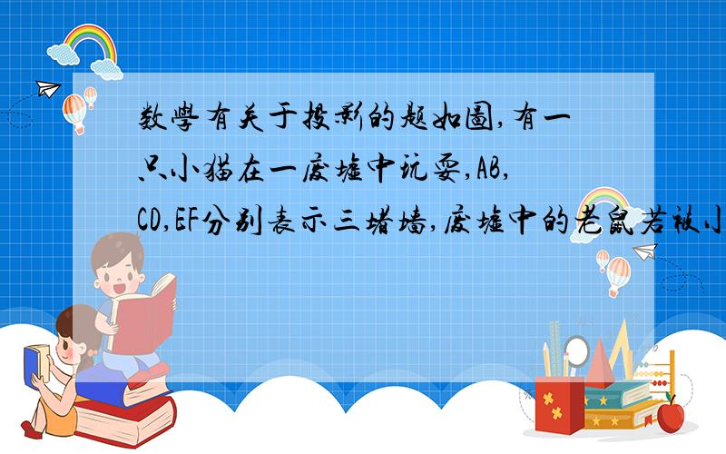 数学有关于投影的题如图,有一只小猫在一废墟中玩耍,AB,CD,EF分别表示三堵墙,废墟中的老鼠若被小猫看见了,就会有危险