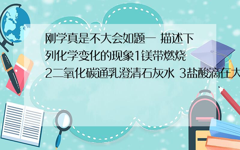 刚学真是不大会如题一 描述下列化学变化的现象1镁带燃烧 2二氧化碳通乳澄清石灰水 3盐酸滴在大理石上 二 没带燃烧前是（