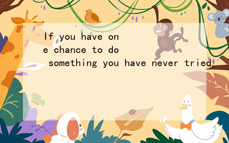 If you have one chance to do something you have never tried,