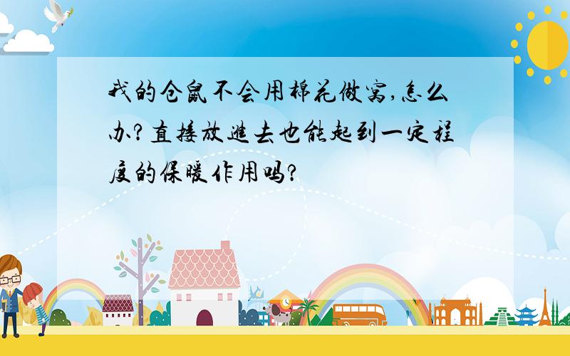 我的仓鼠不会用棉花做窝,怎么办?直接放进去也能起到一定程度的保暖作用吗?