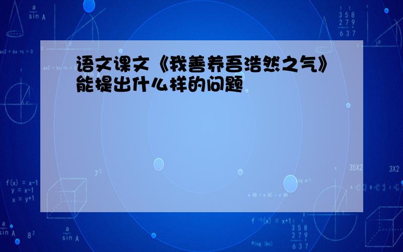 语文课文《我善养吾浩然之气》能提出什么样的问题