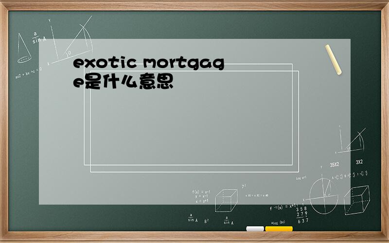 exotic mortgage是什么意思