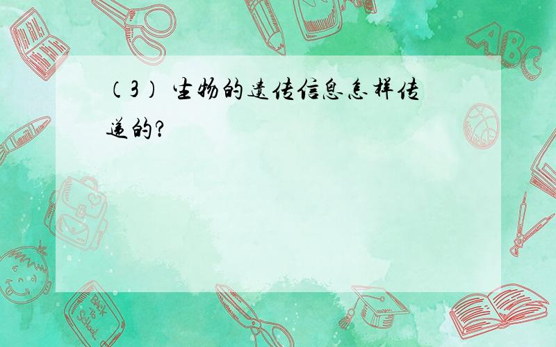 （3） 生物的遗传信息怎样传递的?