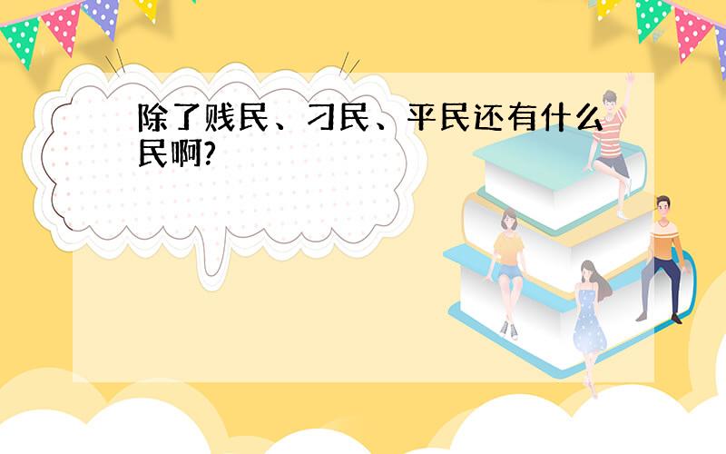 除了贱民、刁民、平民还有什么民啊?