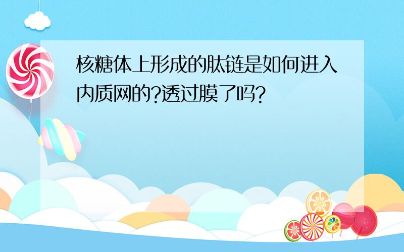 核糖体上形成的肽链是如何进入内质网的?透过膜了吗?