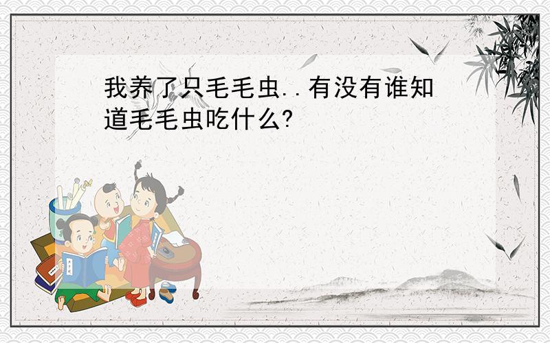 我养了只毛毛虫..有没有谁知道毛毛虫吃什么?