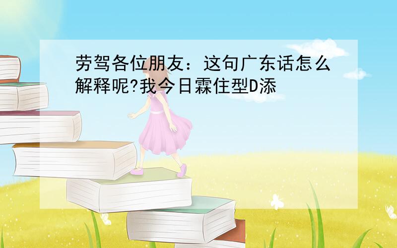 劳驾各位朋友：这句广东话怎么解释呢?我今日霖住型D添