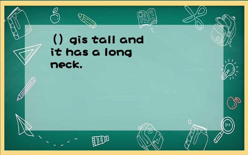 （）gis tall and it has a long neck.