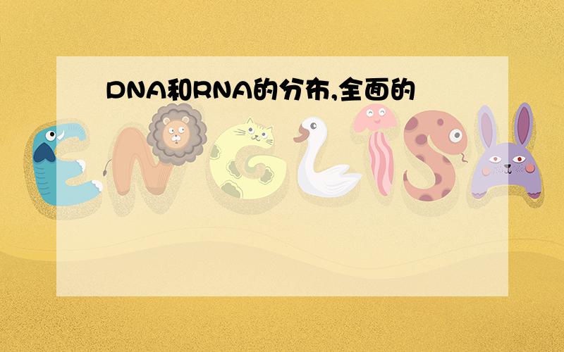 DNA和RNA的分布,全面的