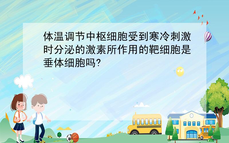 体温调节中枢细胞受到寒冷刺激时分泌的激素所作用的靶细胞是垂体细胞吗?