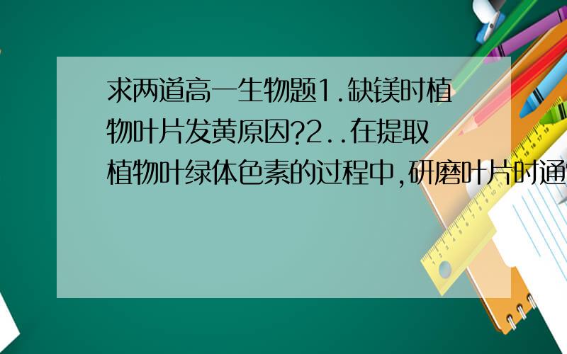 求两道高一生物题1.缺镁时植物叶片发黄原因?2..在提取植物叶绿体色素的过程中,研磨叶片时通常需要加少量二氧化硅,碳酸钙