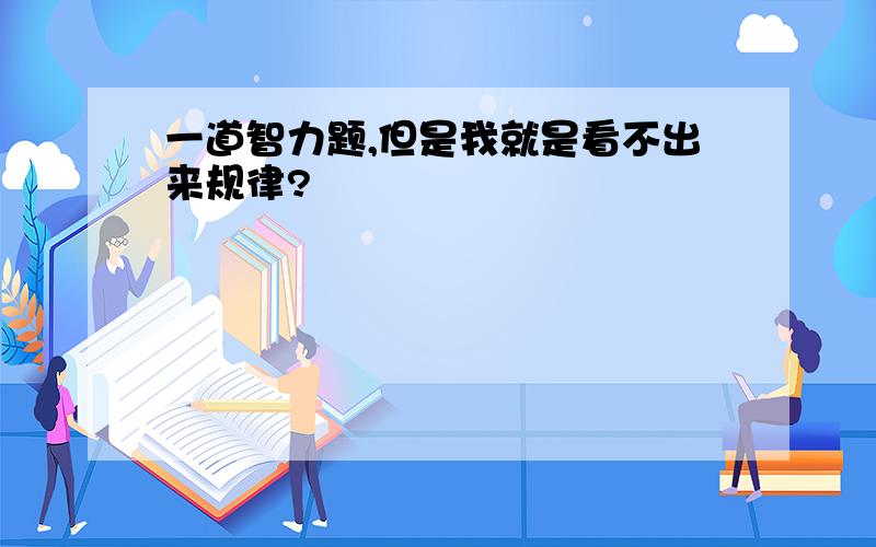 一道智力题,但是我就是看不出来规律?